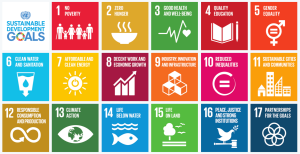 17 sustainability goals for 2030, declared by the United Nation 